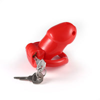 Secure your desires with our durable resin LockTheCock kit featuring a pee hole for convenience. Minimize the risk of unwanted arousal while the design safeguards your urethra (uretha). Includes catheter option for added control.