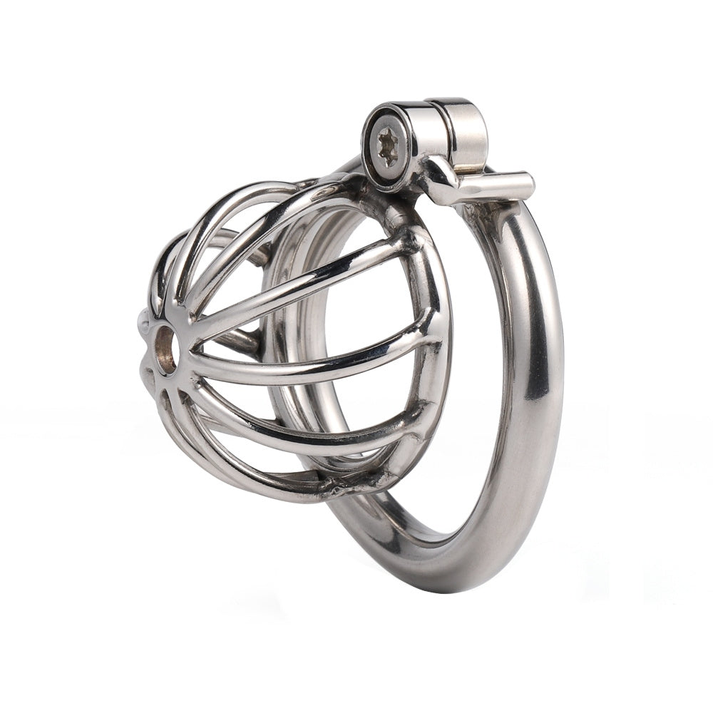 Kneel before your domina and embrace the brutal weight of this silver stainless steel cage. Perfect for intense sessions, its discreet design ensures even your neighbor won't notice a thing.