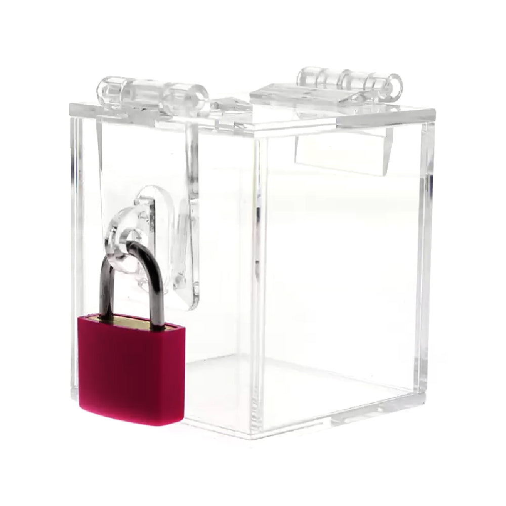 Experience electronic Chastity with our Clear Acrylic Chastity Key Safe. Secure the key to his electro penis, heightening anticipation. Tease with lips, dripping kisses, playful slaps, and intimate worship.