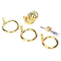 The golden metal dick cage captivates with its unique aesthetic and breathable design, transforming body reactions into disciplined desire without harmful chemical effects.