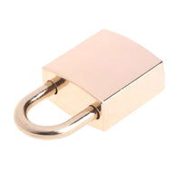 Our polished Hera padlock blends elegance with merciless security for prolonged sessions of torment. Embrace the refined, unyielding control it offers, echoing Hera's strength.