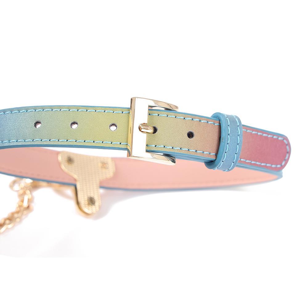 Experience vibrant touch with our Rainbow Vegan Leather Collar and Leash. Soft and adjustable, perfect for shower and showering no removing needed. Easy to clean, so there's no smell. Elevate your steamy sessions with a colorful twist!