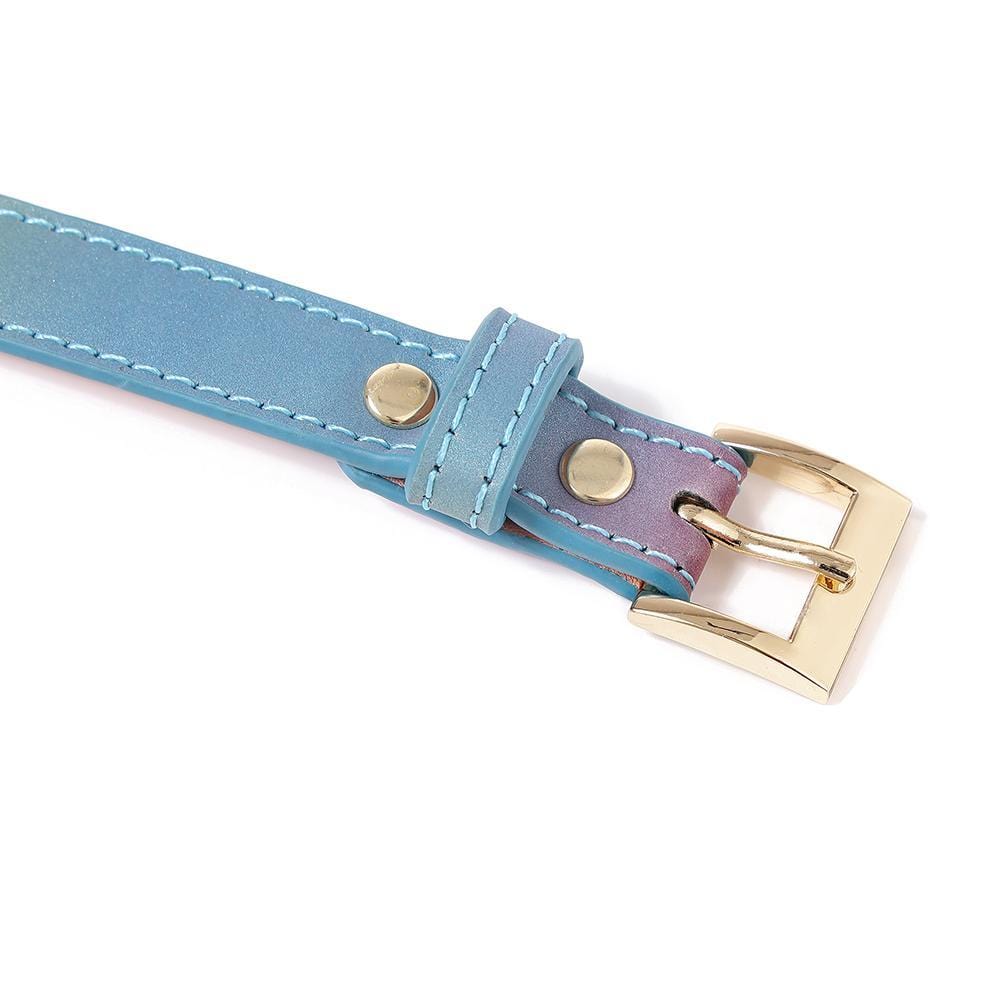 Elevate your sex games with permanent fun by enforcing playful boundaries using our rainbow vegan leather collar and leash a stylish addition to any adventure.