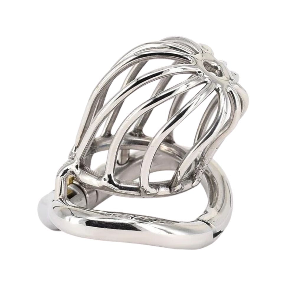 Elevate your summer list chores or shopping routine with the cock cage urethral device. Stay disciplined with a focus on control as you handle mail, maintaining dominance and submission dynamics.