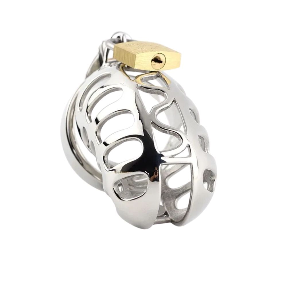 Unlock intense power dynamics with this silver chastity pod, designed for seamless wear. Complete control with three keys ensures commitment. The perfect balance of exposure and restraint.