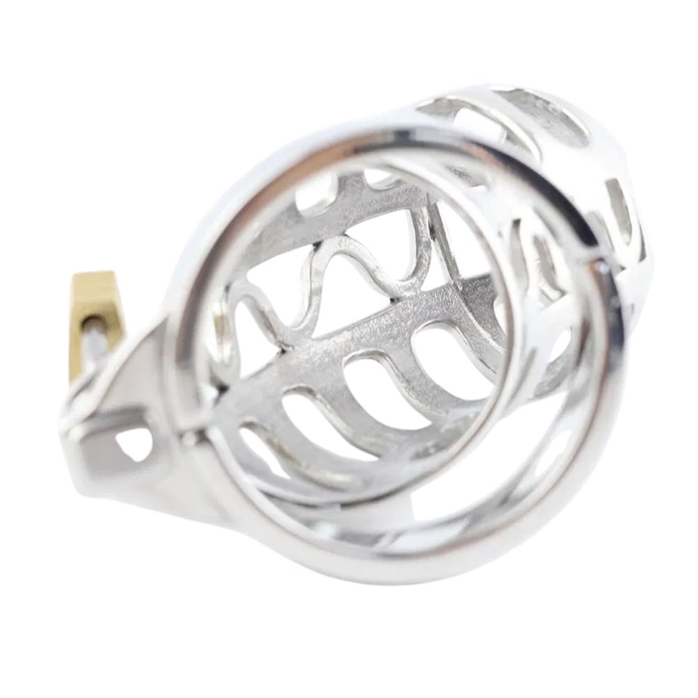 The No Escape Metal cage is a masterful model of control and thrill, addressing the miss in intimate dynamics. Originating from a desire for balance, it transforms the enemy of autonomy into an ally, much like a Tinder match igniting curiosity.